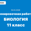 Тренировочная работа №4 биология 11 класс ответы и задания 16 марта 2026 года
