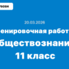 Тренировочная работа №5 обществознание 11 класс ответы и задания 20.03.2026